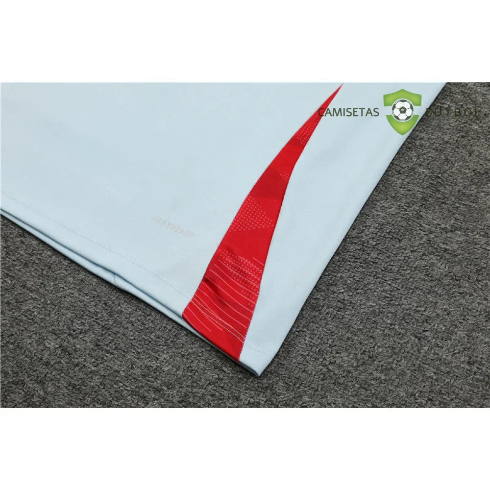 Chandal España 24-25, media cremallera, Modelo 3 (ENTREGA EN 24-72 HORAS)